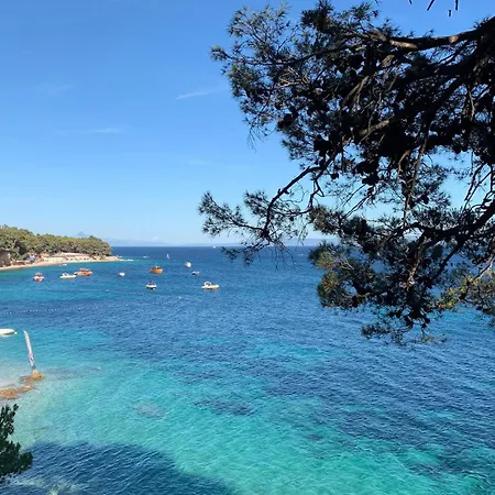 Pet Friendly In Supetar-splitska * 스프리트스카